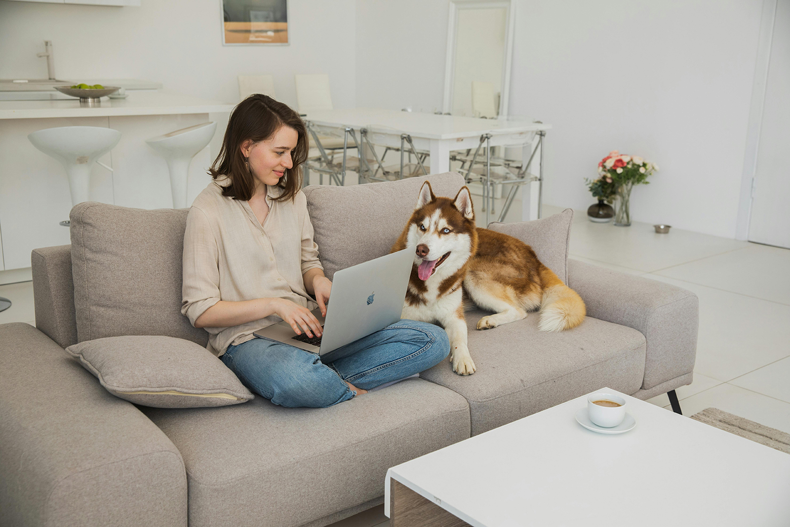 Pet-Friendly Places to Stay in Savannah, Georgia